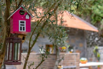 yellow-house-032