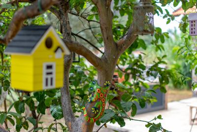 yellow-house-030
