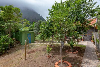 yellow-house-008