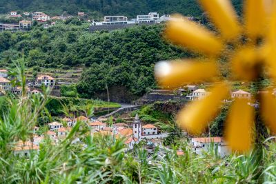 yellow-house-034